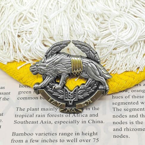 Ukraine Special Operations Forces Enamel Pin - Cooperation Series - Enamel Lapel Pin - Plated Badge for Clothing, Bags, and Lanyards in Kuwait