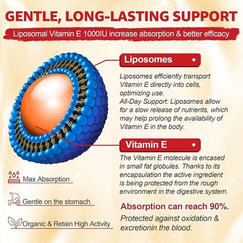 Liposomal Vitamin E Gummies 1000IU - Natural Forms of Vitamin E, with Mixed Tocopherols | 8-in-1 Antioxidant Formula with CoQ10, Omega-3, Vitamin C & Turmeric | for Skin, Eye, Immune & Brain, 1 PACK in Kuwait