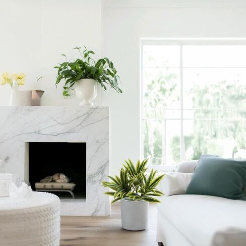3PCS Dracaena Artificial Plant,25" Realistic Fake Greenery Plants with Branches,Faux Agave Plant Stems for Vases for Decoration,UV Resistant Artificial Greenery Plant Decor for Indoor Outdoor in Saudi Arabia