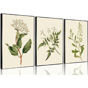3pcs Sage Green Botanical Antique Flower canvas Wall Art Boho Neutral Poster Painting Artwork Vintage Summer Floral Plants Pictures for Bedroom living room Farmhouse bathroom Kitchen Wall Decor（12x16inch Unframed） in Saudi Arabia