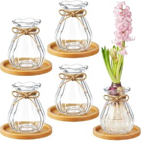 4 Pcs Clear Bulb Glass Vases for Flowers Forcing Hyacinth Avocado Clear Decorative Bulb Vase with Round Bamboo Coaster for Women Gardening Lovers Home Office Plant Table Decoration in Saudi Arabia