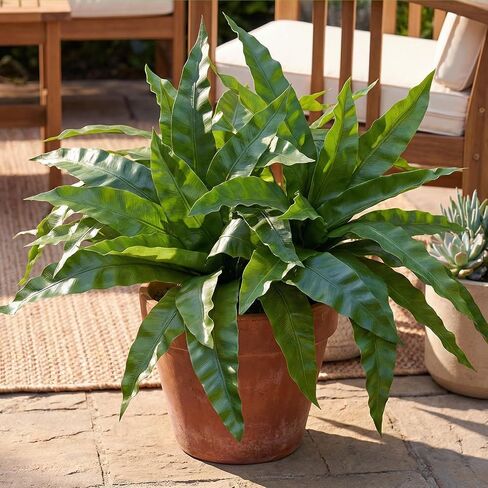 3pcs Artificial Bird's Nest Fern, 27.5" Wide Large Faux Fern Plants (45 Leaves Total), UV Resistant Fake Greenery for Window Box, Planter, Outdoor Porch, Patio & Indoor Home Office Decor in Saudi Arabia
