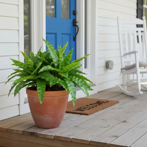 3pcs Artificial Bird's Nest Fern, 27.5" Wide Large Faux Fern Plants (45 Leaves Total), UV Resistant Fake Greenery for Window Box, Planter, Outdoor Porch, Patio & Indoor Home Office Decor in Saudi Arabia