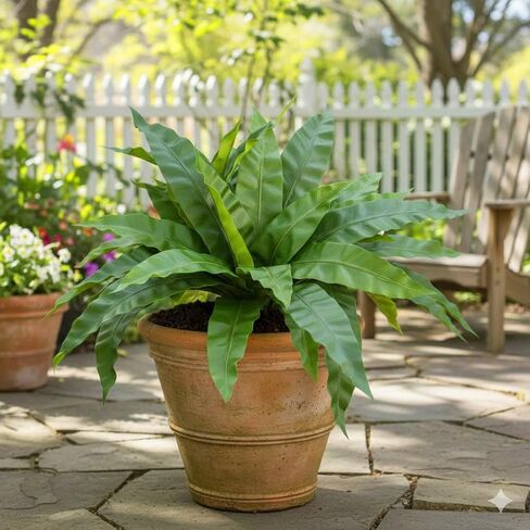 3pcs Artificial Bird's Nest Fern, 27.5" Wide Large Faux Fern Plants (45 Leaves Total), UV Resistant Fake Greenery for Window Box, Planter, Outdoor Porch, Patio & Indoor Home Office Decor in Saudi Arabia