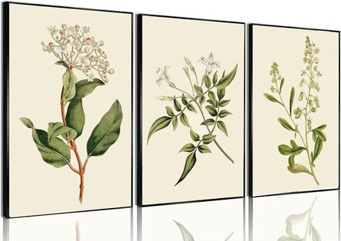 3pcs Sage Green Botanical Antique Flower canvas Wall Art Boho Neutral Poster Painting Artwork Vintage Summer Floral Plants Pictures for Bedroom living room Farmhouse bathroom Kitchen Wall Decor（12x16inch Unframed） in Saudi Arabia