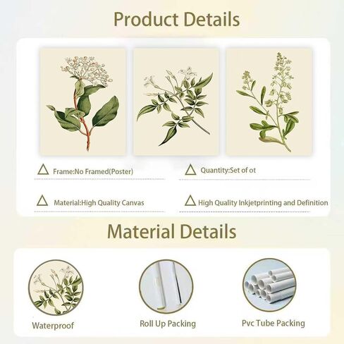 3pcs Sage Green Botanical Antique Flower canvas Wall Art Boho Neutral Poster Painting Artwork Vintage Summer Floral Plants Pictures for Bedroom living room Farmhouse bathroom Kitchen Wall Decor（12x16inch Unframed） in Saudi Arabia