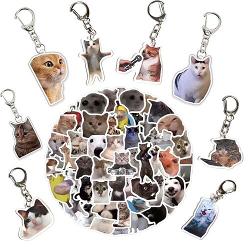 8 Pcs Funny Cat Meme Keychain with Matching 100 Pcs Stickers, Cute Kitty Keychains Set Kawaii Charm Keyring, Mood Boost Gifts for Women Men Novelty Acrylic Key Chains in Saudi Arabia