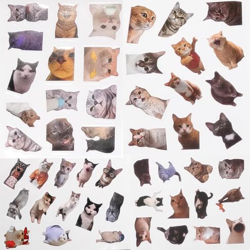 8 Pcs Funny Cat Meme Keychain with Matching 100 Pcs Stickers, Cute Kitty Keychains Set Kawaii Charm Keyring, Mood Boost Gifts for Women Men Novelty Acrylic Key Chains in Saudi Arabia