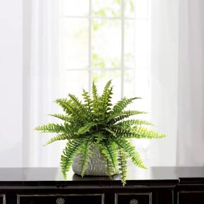 Larksilk 27in Boston Fern, Faux Silk Fern for Home & Covered Porch | Lush 27in artificial Boston fern with full silk fronds for hanging baskets, shelves, porches & covered patios; no care in Kuwait