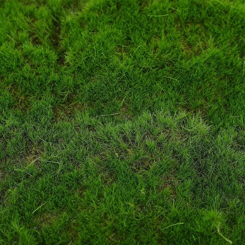 Artificial Moss Mat - Realistic Fake Moss Carpet for Garden Decor Indoor Outdoor Craft Projects Soft Decorative Green Landscape 11.81X11.81In in Kuwait