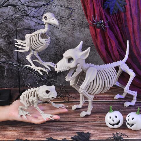 3PCS Animal Skeleton Figurines, Plastic Skeletons Dog Crow Frog Ornaments, Halloween Skeleton Decorations for Home Office Desk, Spooky Party Favors & Gifts for Men Women in Saudi Arabia