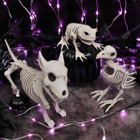 3PCS Animal Skeleton Figurines, Plastic Skeletons Dog Crow Frog Ornaments, Halloween Skeleton Decorations for Home Office Desk, Spooky Party Favors & Gifts for Men Women in Saudi Arabia