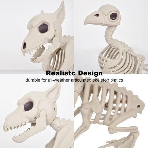 3PCS Animal Skeleton Figurines, Plastic Skeletons Dog Crow Frog Ornaments, Halloween Skeleton Decorations for Home Office Desk, Spooky Party Favors & Gifts for Men Women in Saudi Arabia