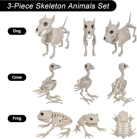 3PCS Animal Skeleton Figurines, Plastic Skeletons Dog Crow Frog Ornaments, Halloween Skeleton Decorations for Home Office Desk, Spooky Party Favors & Gifts for Men Women in Saudi Arabia