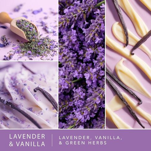 ScentSationals Lavender & Vanilla Fragrance Oil Plug In Air Freshener Refills 3-Pack - Works with Scentsationals Wall Plugs, Long-Lasting Home Fragrance, 0.8 fl oz Each, Packaging May Vary in Saudi Arabia