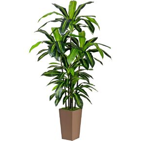 Artificial Dracaena Tree 6FT Fake Plant with Black Tall Planter Faux Yucca Floor Plant in Pot Artificial Trees for Home Office Living Room Indoor in Kuwait