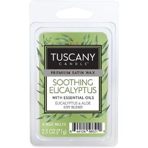 Empire Candle Fragrance Bars, 2.5-Ounce, Soothing Eucalyptus in Saudi Arabia