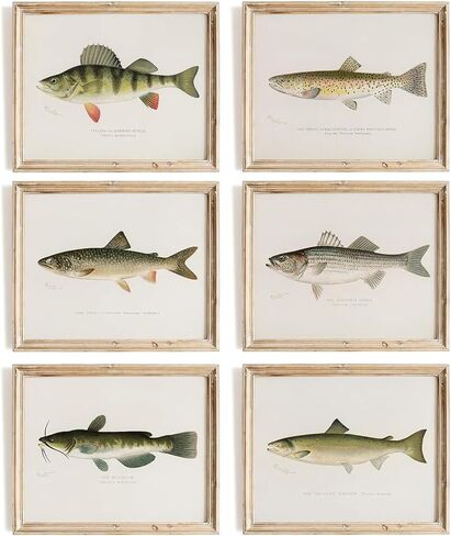 Zaiphany Vintage Fish Print Art Poster Decor,Fish Pictures Wall Decor,Vintage Fishing Pictures Wall Decor in Saudi Arabia