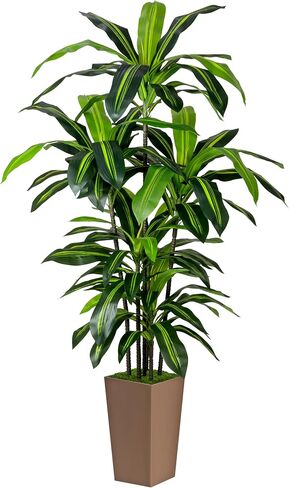 Artificial Dracaena Tree 6FT Fake Plant with Black Tall Planter Faux Yucca Floor Plant in Pot Artificial Trees for Home Office Living Room Indoor in Kuwait