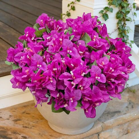 8 Bundles Artificial Flowers for Outdoors UV Resistant Fake Bougainvillea Silk Flower Faux Plants for Porch Balcony Patio Garden Home Decor (Rose Red) in Saudi Arabia