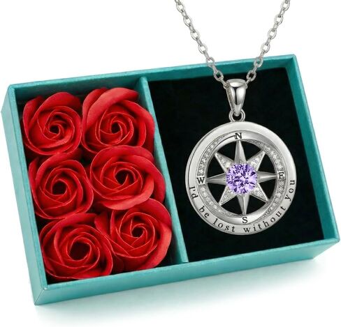 NORBU 925 Sterling Silver Compass Necklace for Women, I'd Be Lost Without You Romantic Wedding Anniversary Birthday Gifts for Wife Girlfriend, 5A Cubic Zirconia Fine Jewelry Gift Box with Rose Petals in Saudi Arabia