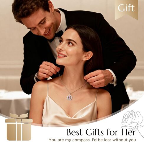 NORBU 925 Sterling Silver Compass Necklace for Women, I'd Be Lost Without You Romantic Wedding Anniversary Birthday Gifts for Wife Girlfriend, 5A Cubic Zirconia Fine Jewelry Gift Box with Rose Petals in Saudi Arabia