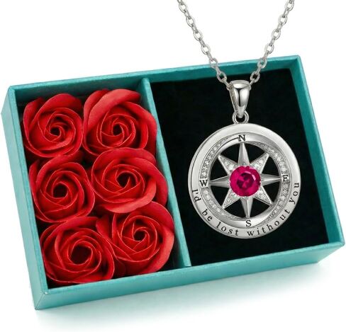 NORBU 925 Sterling Silver Compass Necklace for Women, I'd Be Lost Without You Romantic Wedding Anniversary Birthday Gifts for Wife Girlfriend, 5A Cubic Zirconia Fine Jewelry Gift Box with Rose Petals in Saudi Arabia