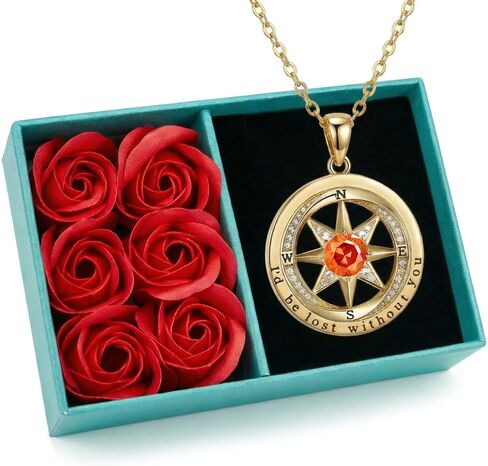 NORBU 925 Sterling Silver Compass Necklace for Women, I'd Be Lost Without You Romantic Wedding Anniversary Birthday Gifts for Wife Girlfriend, 5A Cubic Zirconia Fine Jewelry Gift Box with Rose Petals in Saudi Arabia