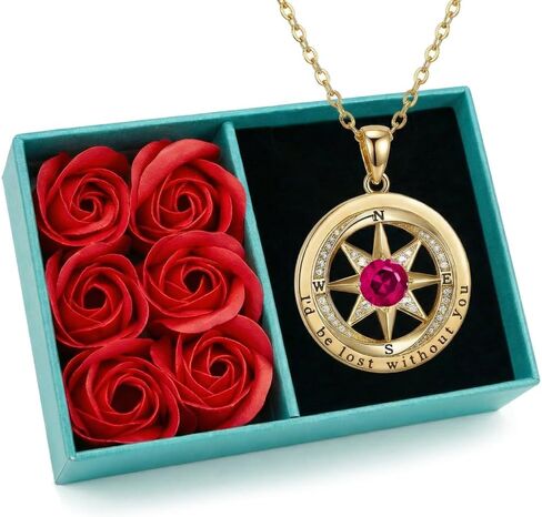 NORBU 925 Sterling Silver Compass Necklace for Women, I'd Be Lost Without You Romantic Wedding Anniversary Birthday Gifts for Wife Girlfriend, 5A Cubic Zirconia Fine Jewelry Gift Box with Rose Petals in Saudi Arabia