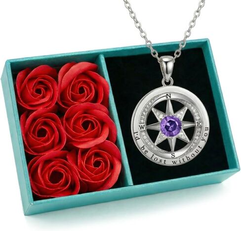 NORBU 925 Sterling Silver Compass Necklace for Women, I'd Be Lost Without You Romantic Wedding Anniversary Birthday Gifts for Wife Girlfriend, 5A Cubic Zirconia Fine Jewelry Gift Box with Rose Petals in Saudi Arabia