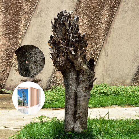 15 Pcs Hidden Head Copper Nails for Killing Trees, Stumps & Roots - 3.5 Inch Long Come with Steel Nails Drill Nails Enabling the Copper Nails to Drive Into the Stump Without Bending in Kuwait