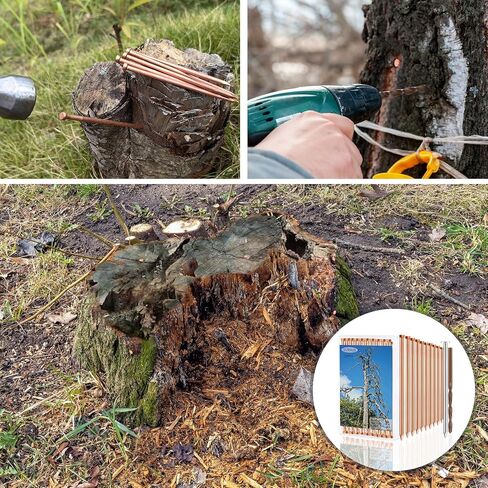 15 Pcs Hidden Head Copper Nails for Killing Trees, Stumps & Roots - 3.5 Inch Long Come with Steel Nails Drill Nails Enabling the Copper Nails to Drive Into the Stump Without Bending in Kuwait