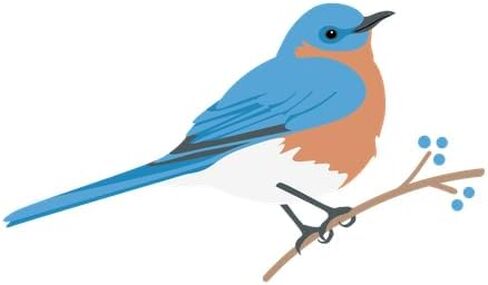 قبعة بيسبول CafePress Eastern Bluebird قابلة للتعديل in Kuwait