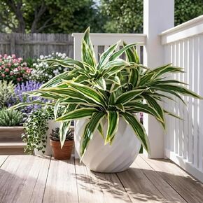 4 Pack Dracaena Artificial Plants, 17.7 Inches Large Fake Greenery Stems, Realistic Dracaena Branches Agave Plants for Indoor Outdoor Garden Office Decor in Kuwait