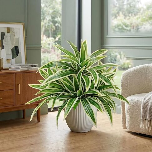 4 عبوات من نباتات Dracaena الاصطناعية، سيقان خضراء مزيفة كبيرة مقاس 17.7 بوصة، فروع Dracaena واقعية ونباتات الصبار لديكور مكتب الحديقة في الأماكن المغلقة والمفتوحة in Kuwait