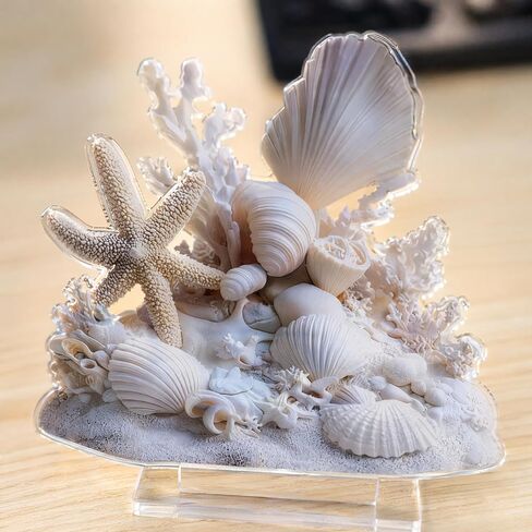 Coastal Beach Decor Acrylic Tabletop Ornament - Starfish Seashell Coral Summer Home Decor for Desk Shelf Beach House in Saudi Arabia