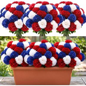 36 Pcs 4th of July Red White Blue Artificial Chrysanthemums Flower 250th Anniversary Patriotic Fake Mums Silk Flower Decor for Independence Day Table Centerpiece Home Decor, Vase Not Included in Saudi Arabia