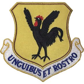 18th Wing Unguibus Et Rostro Patch – Plastic Backing in Saudi Arabia