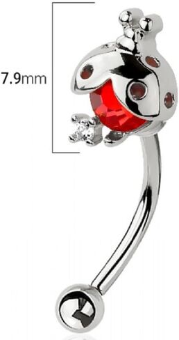 Body Accentz 316L Surgical Steel Curved Eyebrow Barbell with Red CZ Ladybug Design, 16 Gauge, 5/16 Inch, 3mm Balls in Kuwait