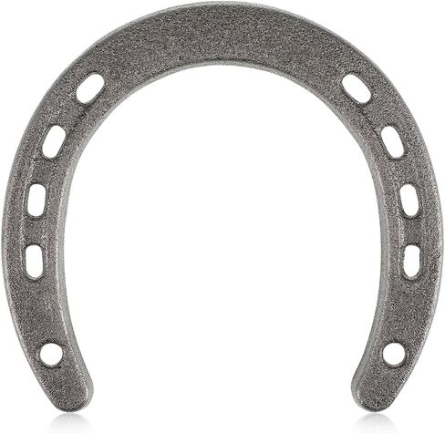 Garneck Horseshoe Wall Decor Iron Wall Hanging - Country Western Lucky Ornament Silver Metal Accent for Home Entryway Hallway Farmhouse Ranch Office Lucky Horse Shoe Decor 4.5 Inch in Saudi Arabia