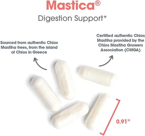 Allergy Research Group ARG Mastica Digestive Support - Supports Digestive Comfort - Delivers 1000 mg Chios Mastic Gum Resin per Serving - Vegetarian & Hypoallergenic - 60 Servings - 120 Capsules in Saudi Arabia