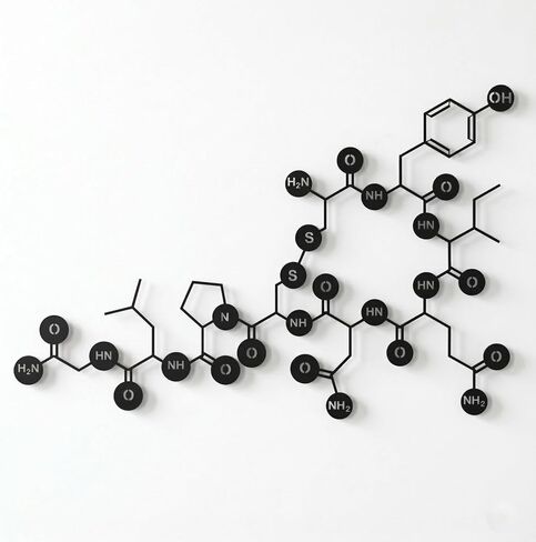 DEKADRON Metal Wall Art, Oxytocin Molecule, Metal Wall Art, Science Art, Biology Chemistry Art, Oxytocin Sign Chemical Formula (46" W x 31" H / 117x78cm) in Saudi Arabia