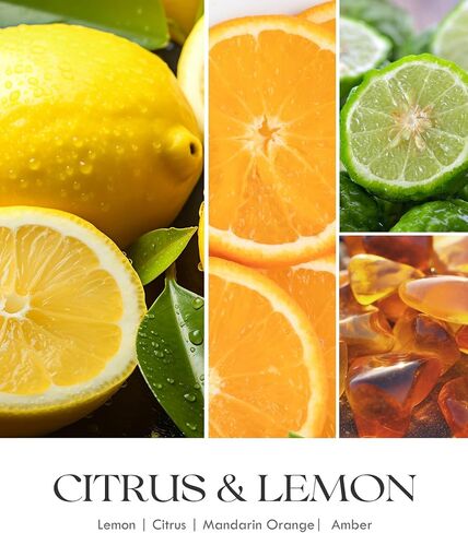 AOOVOO Citrus Lemon Odor Eliminating Candle - 3 Wick 12oz Long Lasting Highly Fragranced Candle, Eliminates 95% of Smoke, Food, Pet and Other Smells Quickly, Large Air Freshing Soy Candles in Saudi Arabia