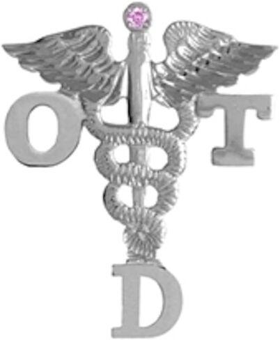 Doctor of Occupational Therapy OTD Lapel Pin + Pink Sapphire in Silver in Saudi Arabia