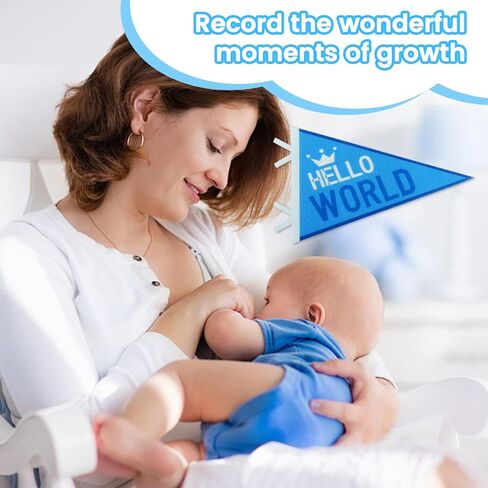 14PCS Baby Monthly Stage,Baby Felt Pennant Stage Signs Monthly,Felt Pennant Flags for Baby Girl & Boy,Month Signs for Newborn Photos and First Year Birthday Baby Shower Decor in Kuwait
