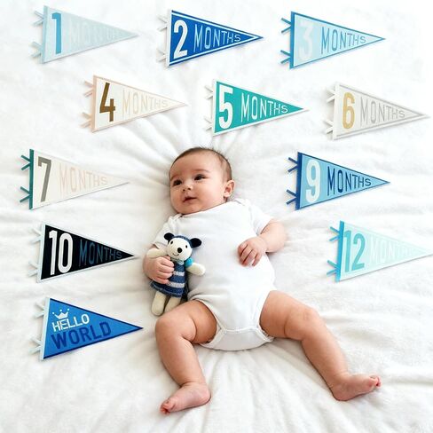 14PCS Baby Monthly Stage,Baby Felt Pennant Stage Signs Monthly,Felt Pennant Flags for Baby Girl & Boy,Month Signs for Newborn Photos and First Year Birthday Baby Shower Decor in Kuwait
