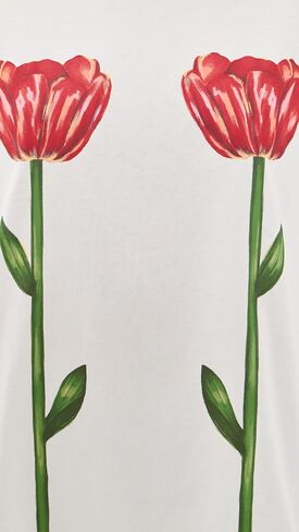 FARM Rio Women's Tropical Rose Big T-Shirt in Saudi Arabia