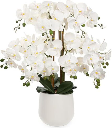 Briful Extra Large White Orchid Artificial Flowers in Cream Resin Pot, 29.5in Lifelike Silk Orchid Arrangement Faux Phalaenopsis Plant for Home Entryway Dining Room Console Table Office Lobby Decor in Kuwait