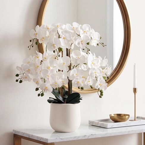 Briful Extra Large White Orchid Artificial Flowers in Cream Resin Pot, 29.5in Lifelike Silk Orchid Arrangement Faux Phalaenopsis Plant for Home Entryway Dining Room Console Table Office Lobby Decor in Kuwait