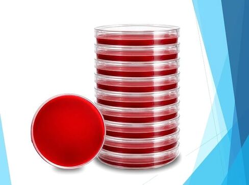 Diamante Scientific Potato Dextrose Agar (PDA) with Tartaric Acid, (10-Pack), Pre-Poured, 15x100mm Petri Plates. for The Isolation of Yeasts and Molds. Also Great for Growing Mushrooms. in Saudi Arabia